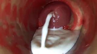 Sex Gay Porn 2